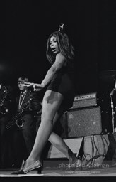 Tina Turner, the queen of rock-and-roll, at the Apollo Theater. Harlem, New York City. circa 1970.
