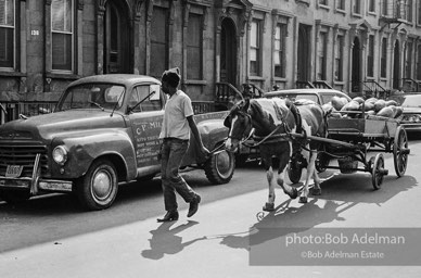 The Bedford Stuyvesant ghetto,  Brooklyn,  New York City.  1963