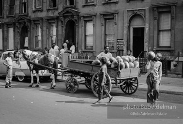 The Bedford Stuyvesant ghetto,  Brooklyn,  New York City.  1963