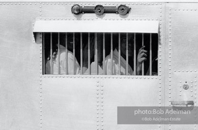 Demonstrators behind bars in a paddy wagon, Birmingham, Alabama.  1963
