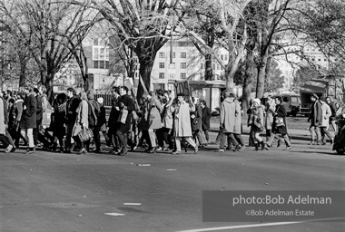 Moratorium Day. Washington, D.C., November 15th, 1969.