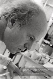 James Rosenquist- 