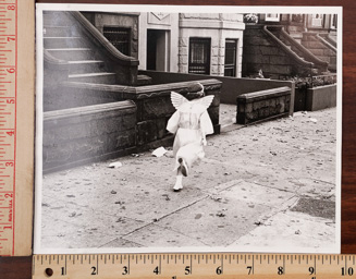 SGFB print. New York era print.< mixed >
