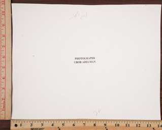 SGFB print. New York ra.
