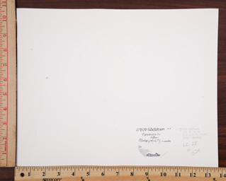 SGFB print. New York ra.