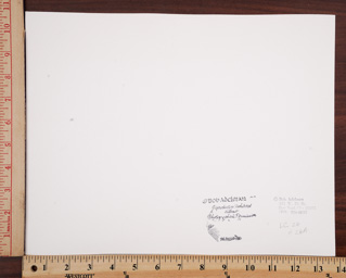 SGFB print. New York ra.