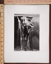 SGFB print. New York ra.