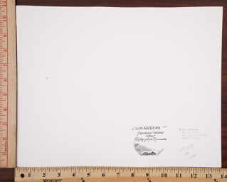 SGFB print. New York ra.