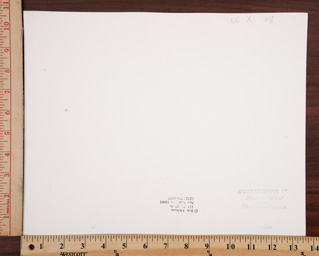 SGFB print. New York ra.