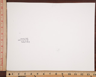 SGFB print. New York ra.