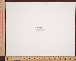 SGFB print. New York ra.