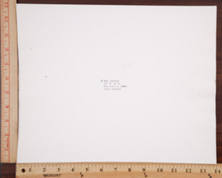 SGFB print. New York ra.