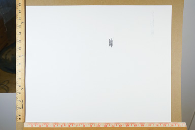Fiber-based silver gelatin print,. signed and stamped on back. printed circa 2007