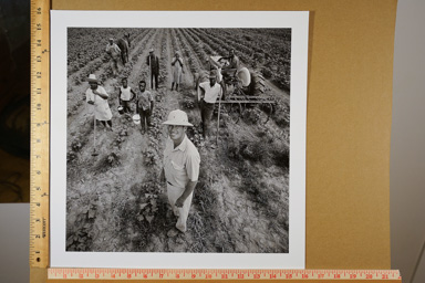 Fiber-based silver gelatin print, printed 2013.