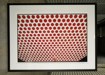 Frame 29.5