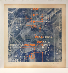 James Rosenquist. Lithograph, signed, numbered 7 of 8. Approximately 32 x 32in.