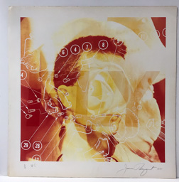 James Rosenquist. Lithograph, signed, numbered 7 of 8. Approximately 32 x 32in.