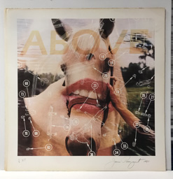 James Rosenquist. Lithograph, signed, numbered 7 of 8. Approximately 32 x 32in.